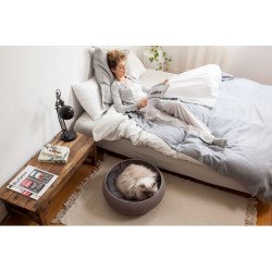Keter Cozy Pet Bed