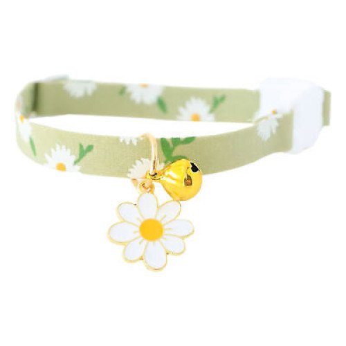 Adjustable Safety Collar with Necklace