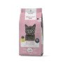 Dousti Kitten 3kg