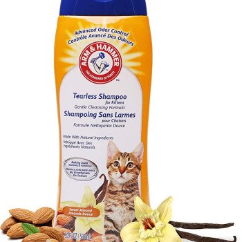 Arm & Hammer Tearless Kitten Shampoo in Sweet Almond Scent, 20 oz / 591 ml
