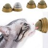 wall rotating catnip ball