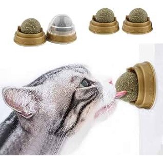 wall rotating catnip ball