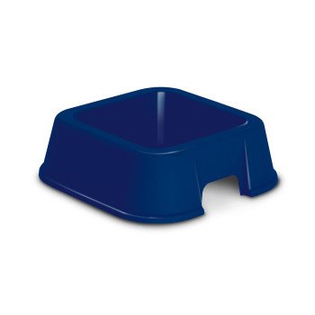 مب وعاء فيولا صغير