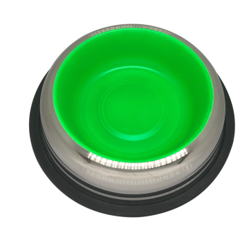 Petex Stainless Steel Bowl with Rubber Bands in a Bright Green Color