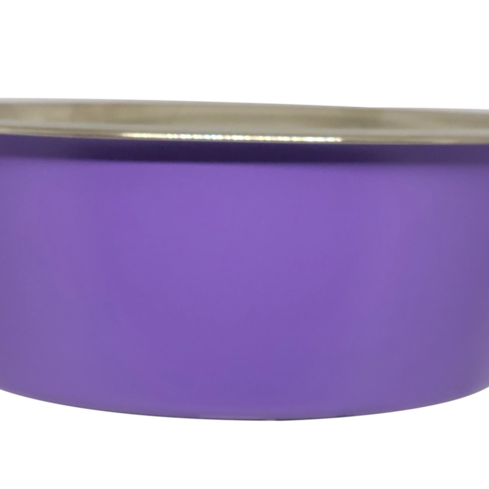 Petex Purple stainless steel Bowl with Rubber Base