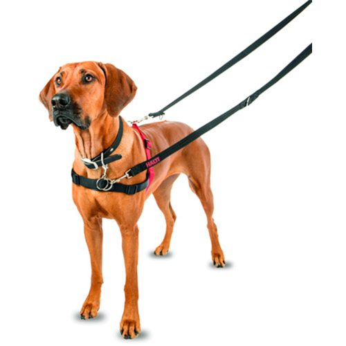 Halti Harness Anti Pulling Harness - Large / Grand