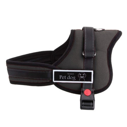 Harness for Dogs L