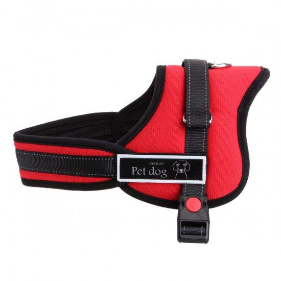 Harness for Dogs L