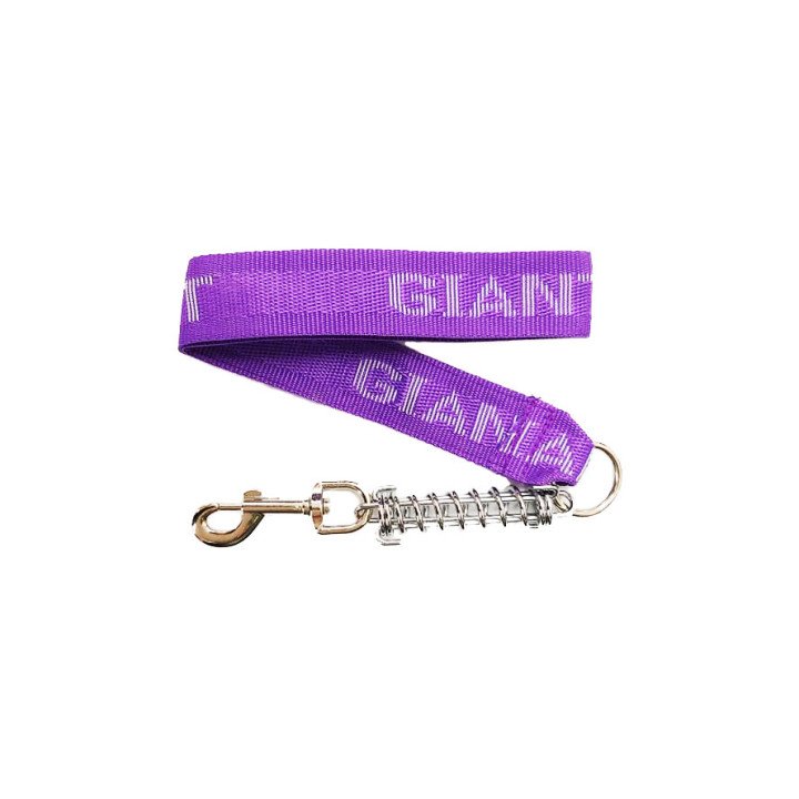 Giant Nylon Leash For Dogs