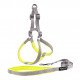 Adjustable Woven Harness and Leash Set For Dogs (2.5 cm)