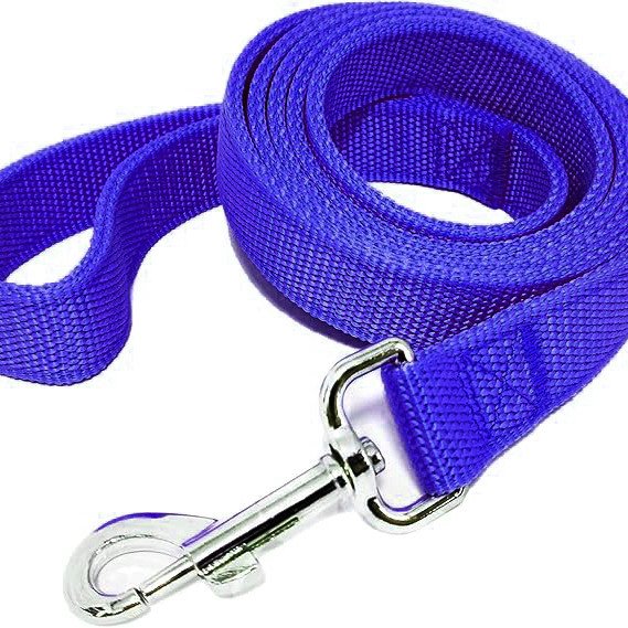 Strong Nylon Leash with 2-Layer 160 cm - blue