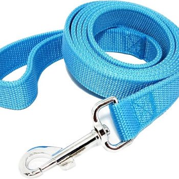 Strong Nylon Leash with 2-Layer 160 cm - cyan