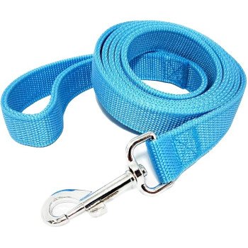 مقود قوي من النايلون مكون من طبقتين بطول 160 سم - سماوي