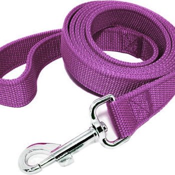 Strong Nylon Leash with 2-Layer 160 cm - purple