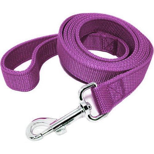 Strong Nylon Leash with 2-Layer 160 cm - purple