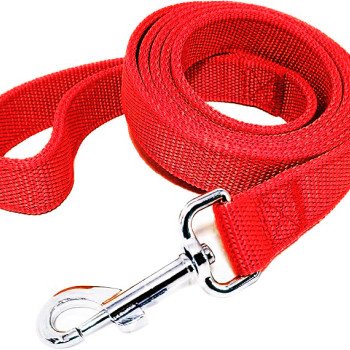 Strong Nylon Leash with 2-Layer 160 cm - red