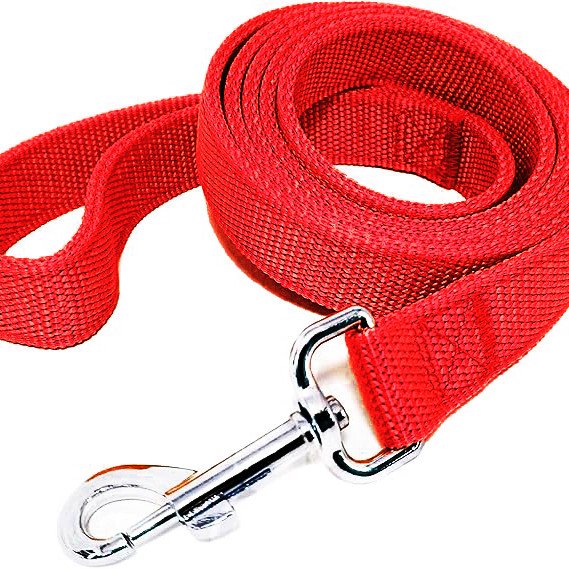 Strong Nylon Leash with 2-Layer 160 cm - red