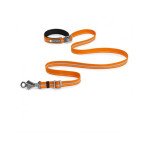 Collars Harnesses & Leashes