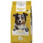 Dousti nutritious and balanced food for active medium and large breeds