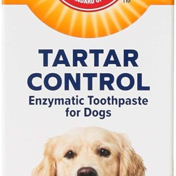 Arm & Hammer tartar control enzymatic toothpaste for dogs - beef flavor