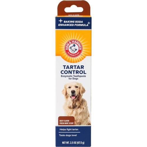 Arm & Hammer tartar control enzymatic toothpaste for dogs - beef flavor