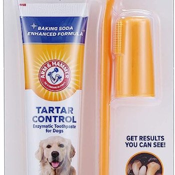 Arm & Hammer dog dental kit - beef flavor