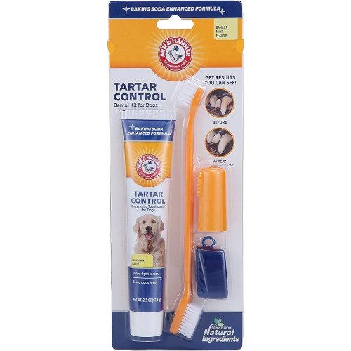 Arm & Hammer dog dental kit - banana mint flavor