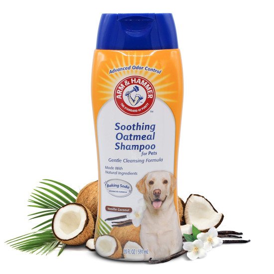 Arm & Hammer Soothing Oatmeal Shampoo for Dogs Vanilla Coconut Scent, 20 oz / 591 ml