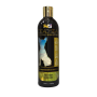 Petex Shampoo with Avocado And Aloe vera