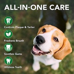Vet's Best Advanced Dental Spray & Floss Ball for Dogs