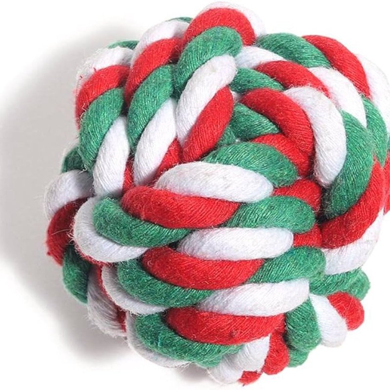Strong twisted knot dog toy - L