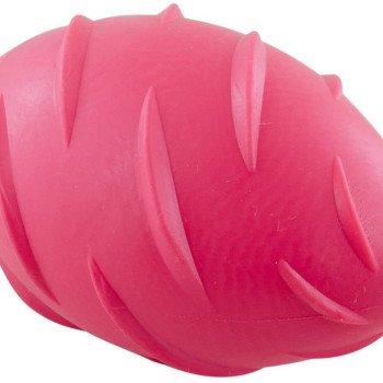 Nunbell Oval Shape Chewing Toy