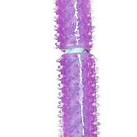 Colorful knotted rope bone