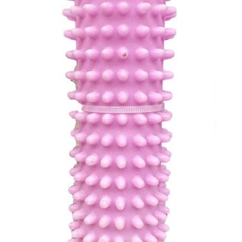 Pet premium hard rubber dog toy 16CM