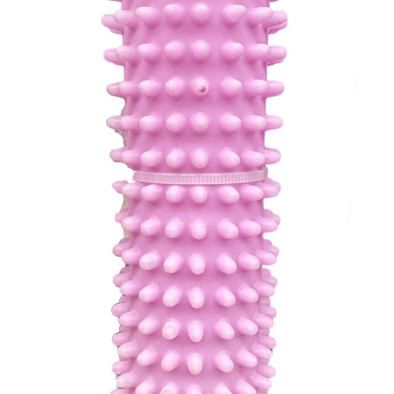 Pet premium hard rubber dog toy 16CM