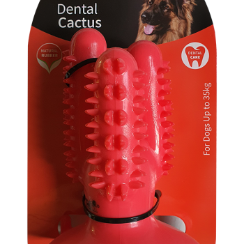 Petex Dental Cuctus with Suction