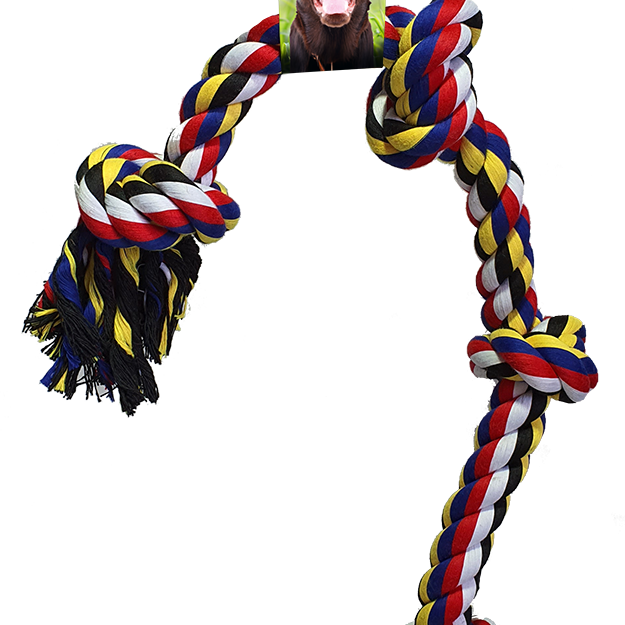 Petex Dental rope bite