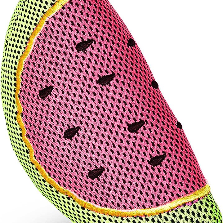 Wags & Wiggles floating toy - Watermelon