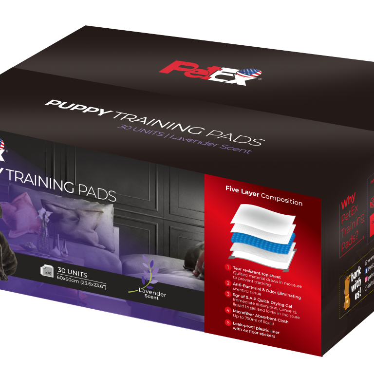 Petex Training Pads 30 Units