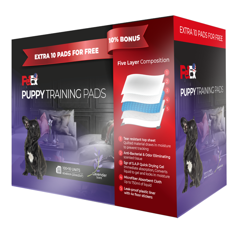 Petex Training Pads 100 Units