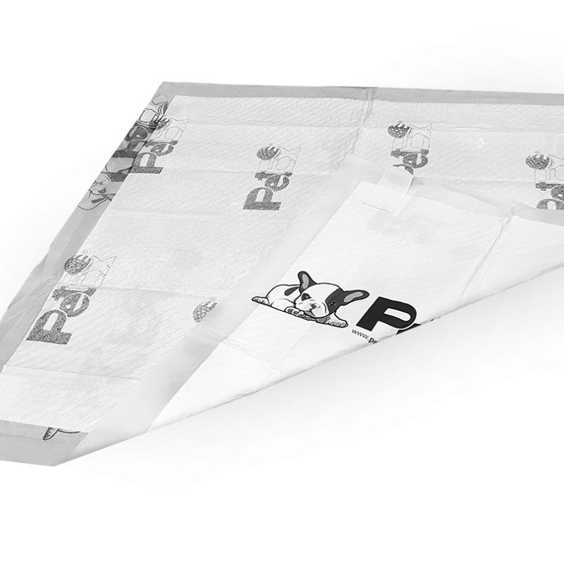 Petex Training Pads 1 Unit