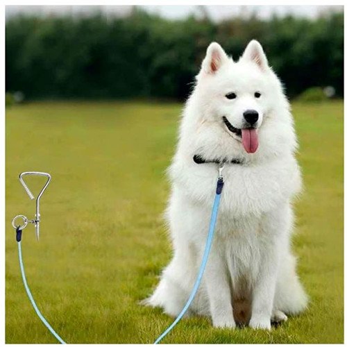 Ground Spiral Metal Screw For Dogs