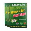 green live mouse and rat traps