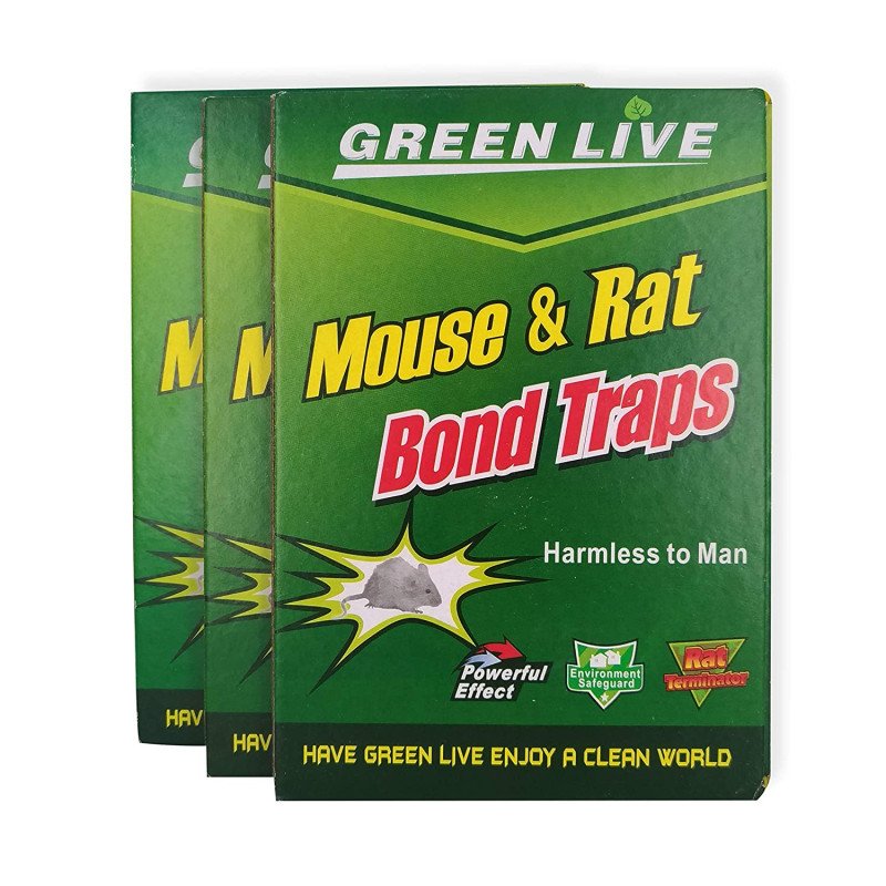 green live mouse and rat traps