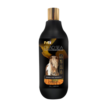 شامبو زيت الجزر والكيراتين من بيتيكس 1 لتر