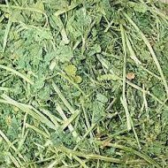 Alfalfa Pet Bedding & Food 500g