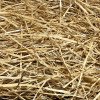 Pet Premium Straw Animal Bedding 500g