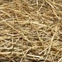 Pet Premium Straw Animal Bedding 500g